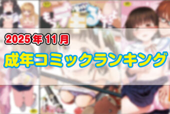 2025年 11月　成年コミックランキング